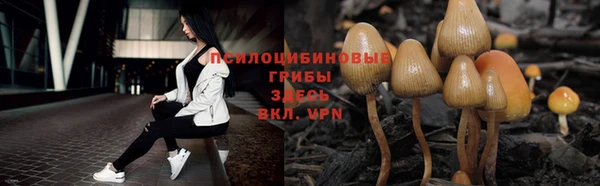 скорость Алексеевка