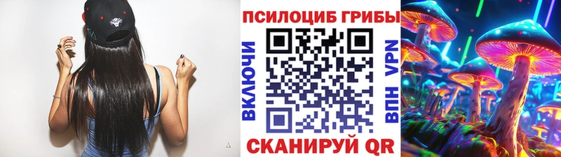 Псилоцибиновые грибы Magic Shrooms  Купить  Лосино-Петровский 